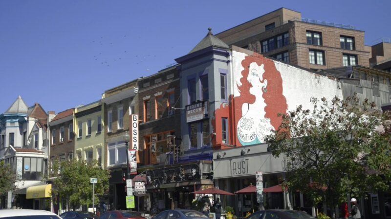 Adams Morgan - Neighborhood - Murals